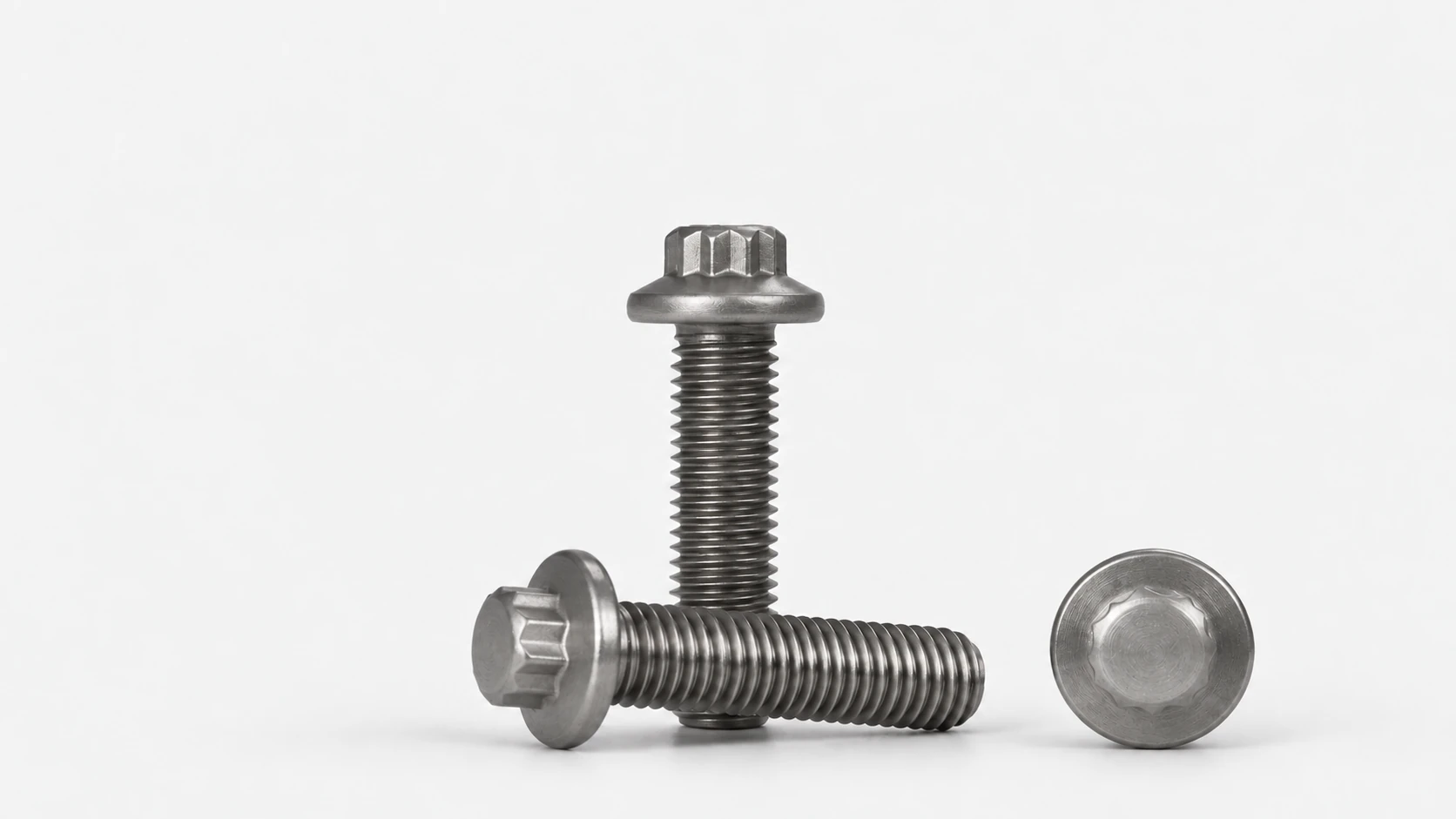 Photograph of 12-point flange bolts